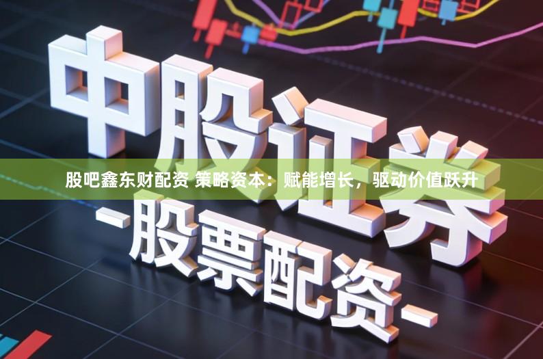 股吧鑫东财配资 策略资本：赋能增长，驱动价值跃升