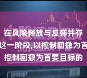 在风险释放与反弹并存的整理期这一阶段,以控制回撤为首要目标的